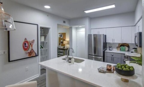 Apartments Near Broward 408 NE 6th Street for Broward College Students in Fort Lauderdale, FL