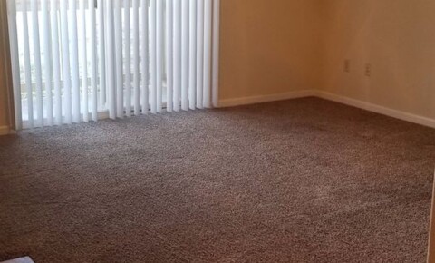 Apartments Near Missouri State University-West Plains Pet Friendly Beautiful 1 bedroom with a patio! for Missouri State University-West Plains Students in West Plains, MO
