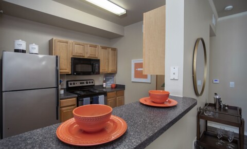 Apartments Near Texas College Summerwood for Texas College Students in Tyler, TX