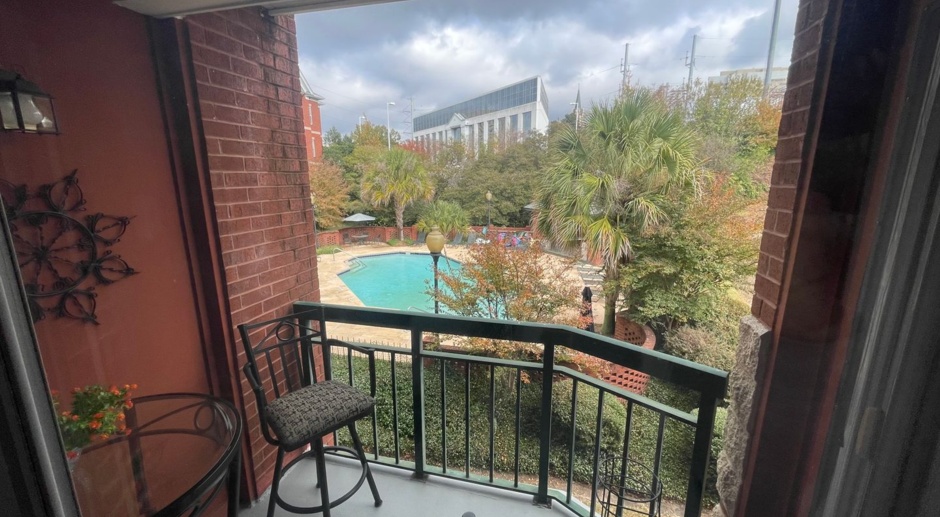 Furnished 2 Bedroom, 2 Bath Condo - Available NOW