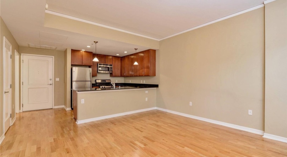 One Bedroom Luxury Living at Grant Park Condos! 