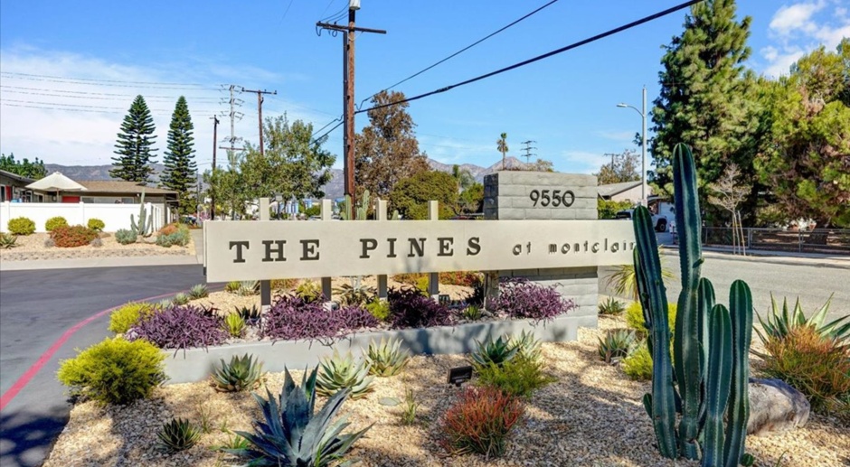 The Pines Apartments
