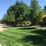 Spacious .4 Acre, 4 Bed, 3 Bath Home with Basketball Court in Fort Collins - Available 05/01/2024