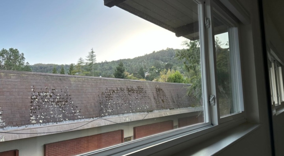 EPIC REA - 2 BR/1 BA Townhome w/1 Pkg in Great Corte Madera Location