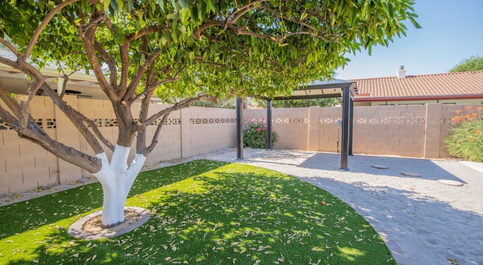 Remodeled 5 bed 3 bathroom home in Tempe WITH POOL!