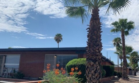 Apartments Near University of Arizona Craycr1302 for University of Arizona Students in Tucson, AZ