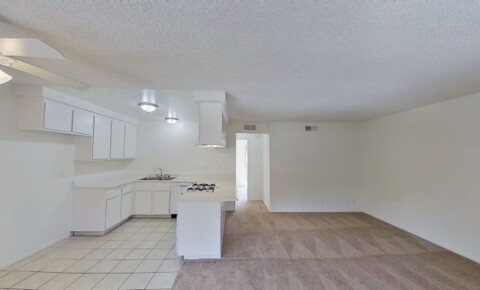 Apartments Near CCCD 525 N. Tustin Ave for Coast Community College District Students in Coasta Mesa, CA