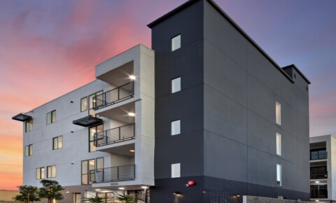 Apartments Near Northridge Grigio for Northridge Students in Northridge, CA