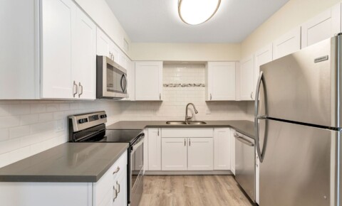 Apartments Near Trine University-Arizona Regional Campus Free 1st month! ! Modern two-bedroom, two bath apartment homes. for Trine University-Arizona Regional Campus Students in Peoria, AZ