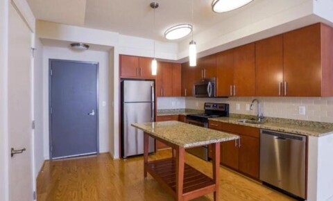 Apartments Near AU 1111 Belle Pre Way for American University Students in Washington, DC