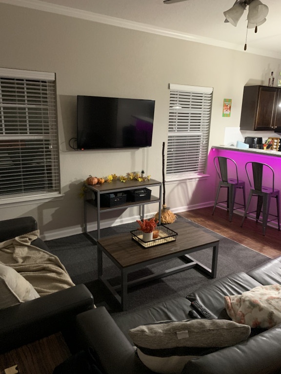 Room for rent in Fort Collins CO 