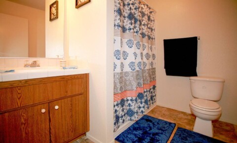 Apartments Near Citrus Heights Beautiful 1 bedroom apartment for Citrus Heights Students in Citrus Heights, CA