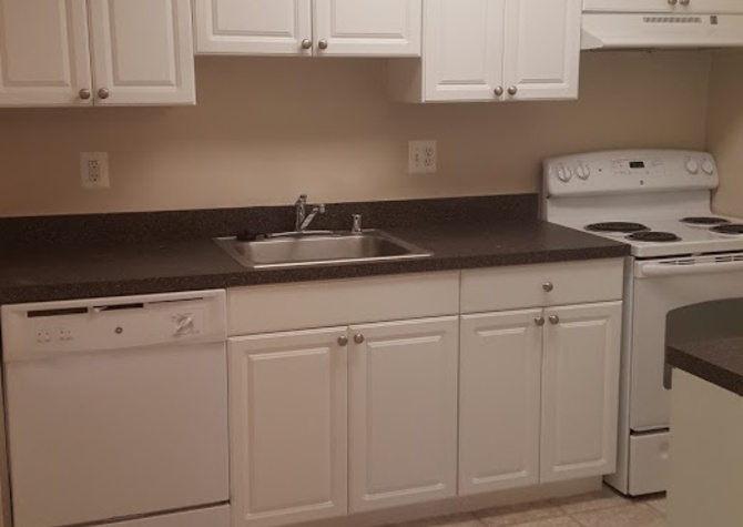 Houses Near Spacious 2 Bedroom w/Washer & Dryer
