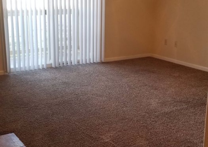 Apartments Near Pet Friendly Beautiful 1 bedroom with a patio!
