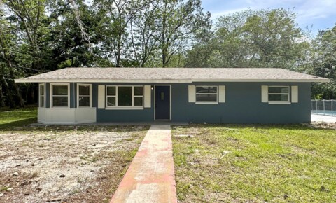 Houses Near Taylor College Home with 3/2 and large yard in Ocala for Taylor College Students in Belleview, FL