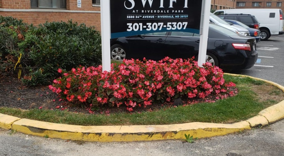 The Swift and The Current Apartments