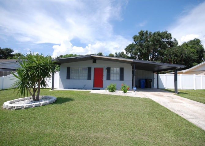 Houses Near Completely Remodeled 3/2 Pool Home in The Heart of Tampa! 