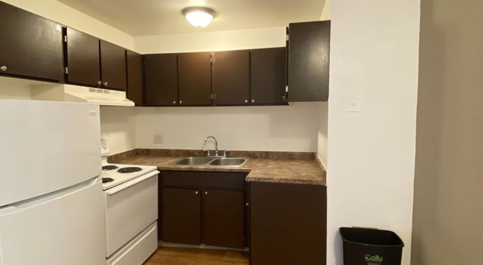 Affordable Downtown Apartment! Great Location