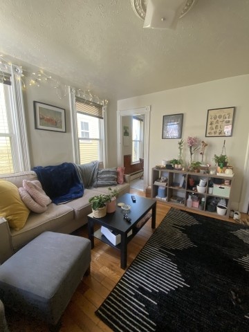 Available Immediately: East Rock $830/mo Sublet