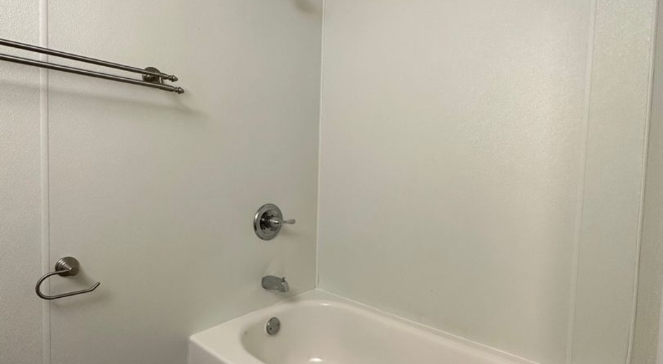 1 Bedroom 1 Bathroom Apartment Available June 15th