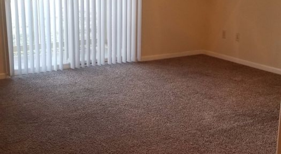 Pet Friendly Beautiful 1 bedroom with a patio!