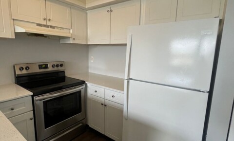 Apartments Near Nevada One Bedroom One Bathroom! WATERFRONT COMMUNITY! for Nevada Students in , NV