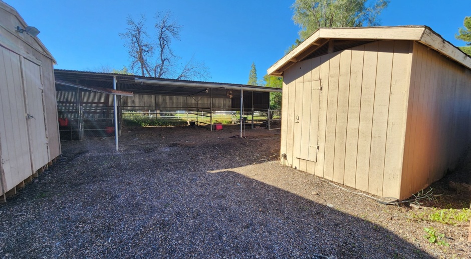 Remarkable horse property with HUGE yard!