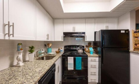 Apartments Near South University-Tampa 4800 S Westshore Boulevard for South University-Tampa Students in Tampa, FL