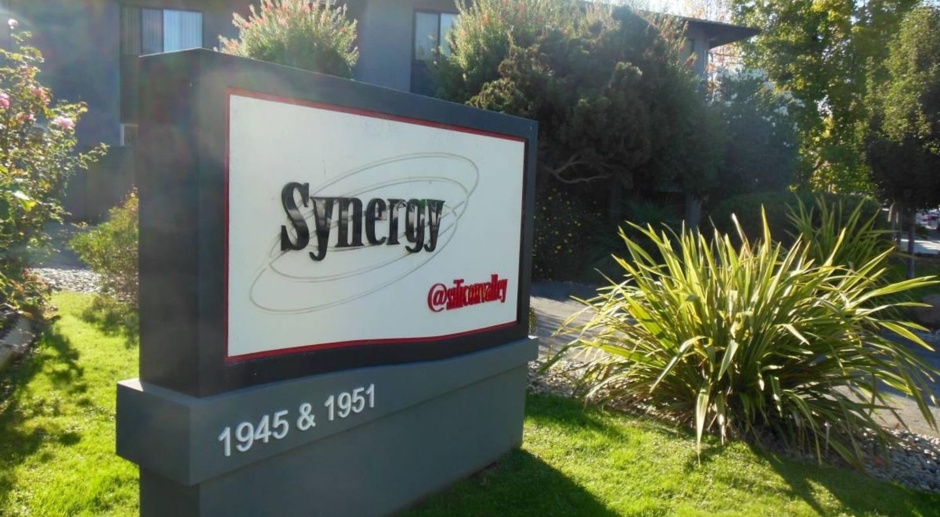 Synergy @ Silicon Valley