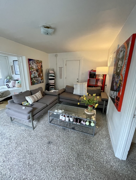 Single Apartment on the Hill – Summer Sublease