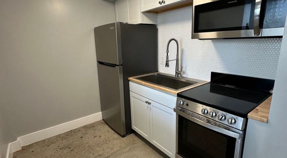 Completely Renovated Downtown 1-Bedroom Unit 