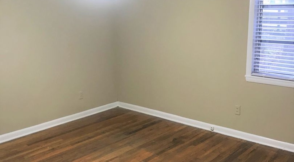 Pet Friendly House within walking distance of the Stadium and FSU!!