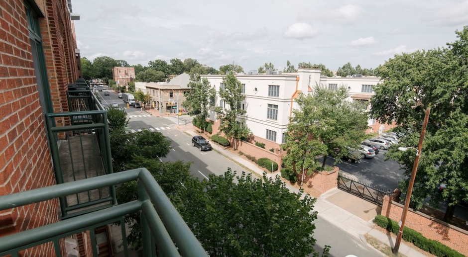Live in the Heart of Downtown Raleigh!