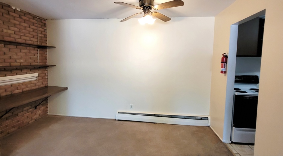 Large Two Bedroom Apartment Available for Fall 2024!