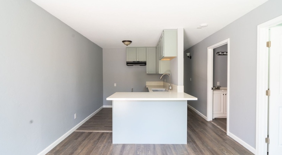 Gorgeous Renovated Large Units! Centrally Located!