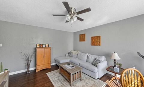 Apartments Near Webster 1 Bed 1 Bath - 800 sqft - In unit laundry - pets allowed for Webster University Students in Saint Louis, MO