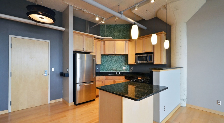 Available Now! Amazing 2 Bedroom 2 Bathroom Top Floor Condo with views of Downtown Minneapolis