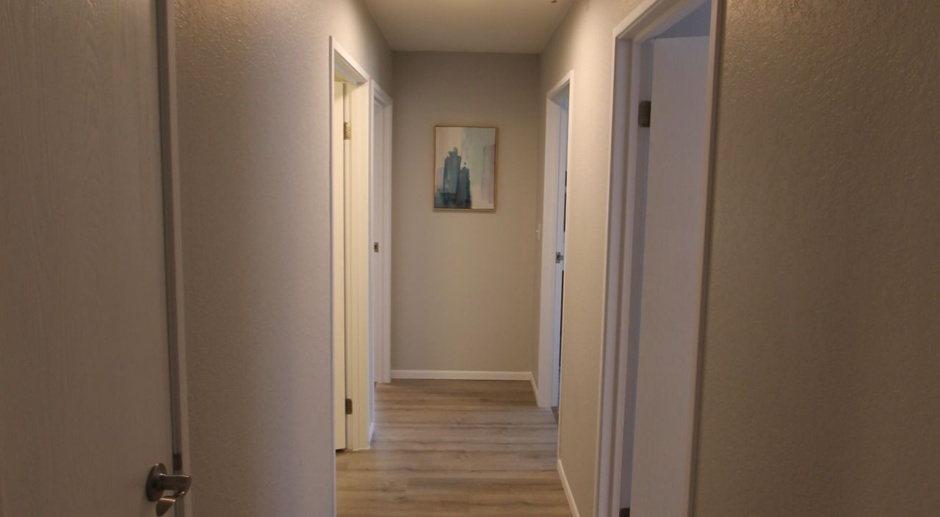 Large 2 bedroom at Lincoln Woods Apartments.  Modern updates and more! 