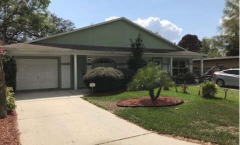 Houses Near UT Beautifully renovated 3 bedroom 2 bath home in Tampa for The University of Tampa Students in Tampa, FL