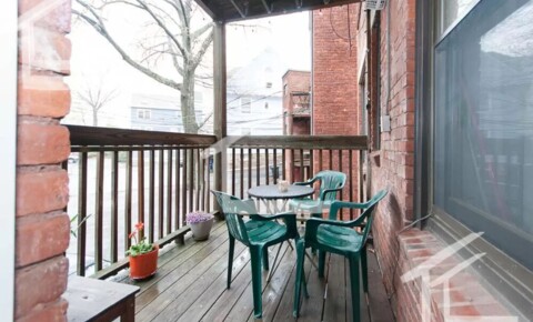 Apartments Near Newton Brookline 4 bedroom , 9/1 move in date !  for Newton Students in Newton, MA