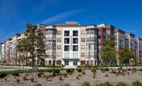 Apartments Near Centura College-Norfolk Harbor Vista at Crawford Street for Centura College-Norfolk Students in Norfolk, VA