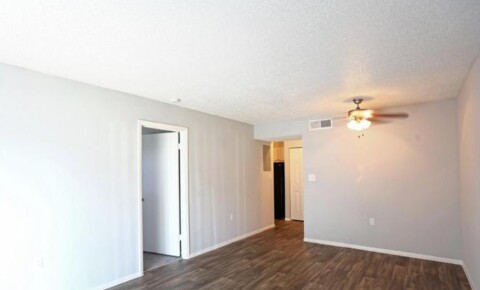 Apartments Near USF 512 Camino Real Court for University of South Florida Students in Tampa, FL