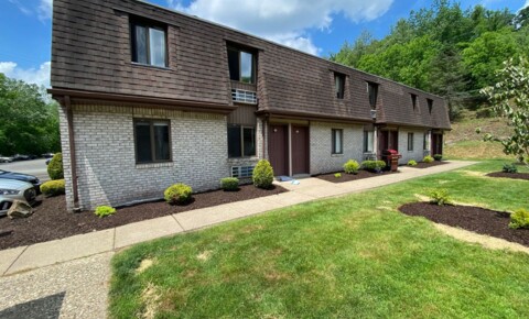 Apartments Near West Mifflin Awesome 1BR in Plum! Exposed Brick and Air Conditioning! Call Today! for West Mifflin Students in West Mifflin, PA