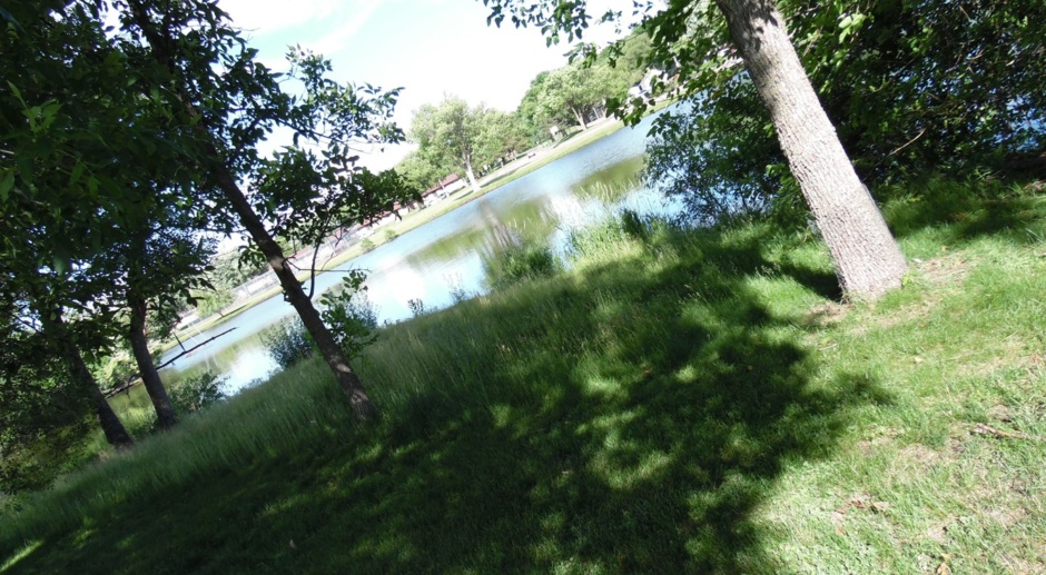 Lake Park (LAK1000)