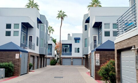 Apartments Near Scottsdale 3rdAve3633 for Scottsdale Students in Scottsdale, AZ