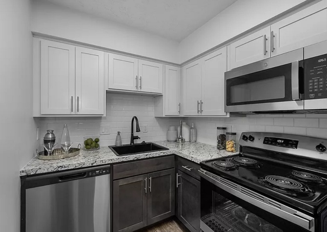 Apartments Near Modern Elegance: Newly Remodeled 2BR/1BA Apartments with Luxury Finishes