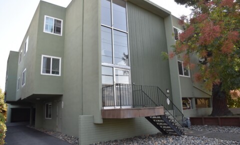 Apartments Near Menlo Hopkins for Menlo College Students in Atherton, CA