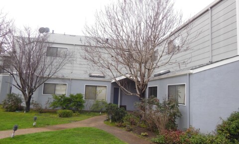 Apartments Near Redwood City 400 Laurel Street for Redwood City Students in Redwood City, CA