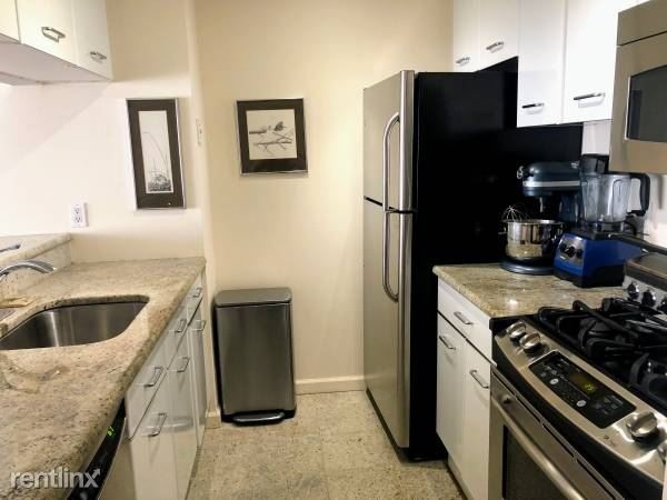 Luxury Furnished 1 Bedroom Condo in Elevator Building - H/HW/G Parking Included - White Plains